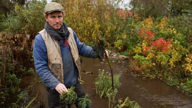 Hundra procent bonde