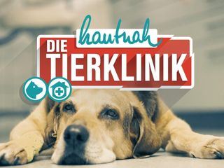 Hautnah: Die Tierklinik Hautnah: Die Tierklinik