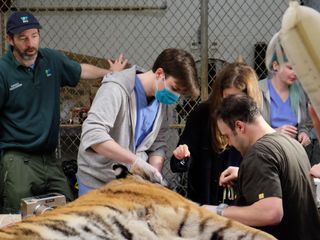 Bronx Zoo - Tierpark der Superlative