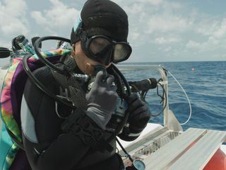 Mysterium Bermudadreieck