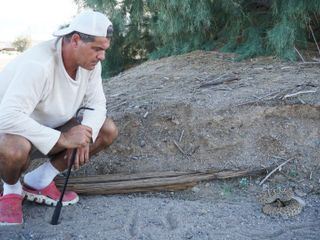 Wild Frank - Abenteuer in Kalifornien