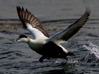 Norwegens Wildnis: Dem Winter entgegen