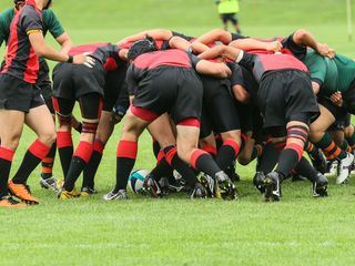 Lions Uncut Australia