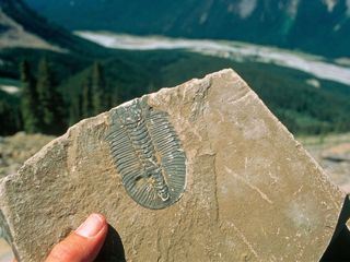 Segreti nel ghiaccio