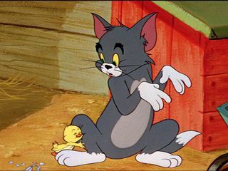 Tom und Jerry