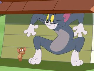 Die Tom und Jerry Show