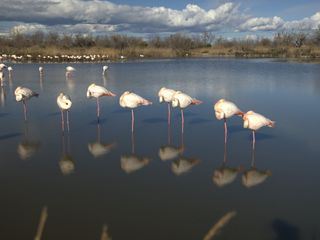 Magisches Frankreich