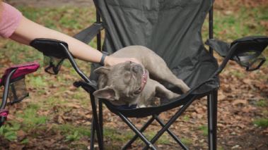 Homegrown - Aus Liebe zum Garten