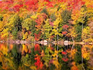 Zauber der Jahreszeiten