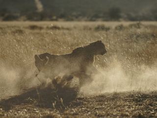 One Strange Rock One Strange Rock