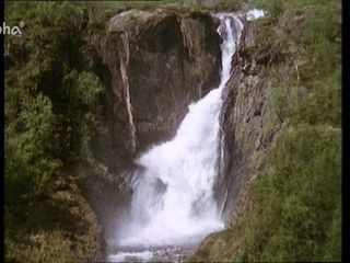 Nordischer Fruehling