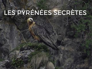 Die unberuehrte Wildnis der Pyrenaeen