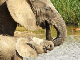 Brahmaputra - Der grosse Fluss vom Himalaya