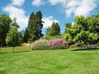 die nordstory Spezial - Gruenes Glueck im Sommergarten