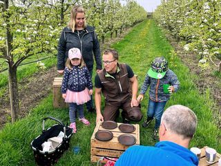 Die Nordreportage: Birnen erobern das Alte Land