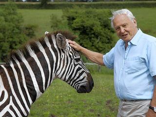 David Attenboroughs Wunder der Natur David Attenboroughs Wunder der Natur