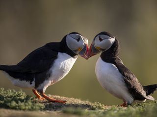 Grossbritannien - Im Rhythmus der Natur