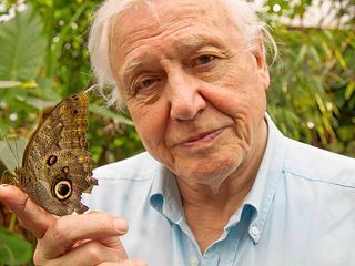 David Attenboroughs Wunder der Natur