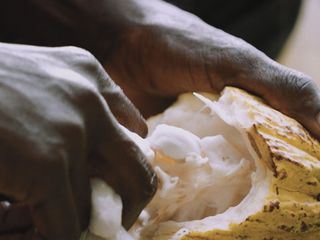 Kein Planet, kein Profit - Der Weg zur nachhaltigen Wirtschaft