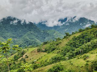 Cocaine Valley - Kokain-Produzenten unter Druck