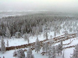 Lichterglanz und Schneegestoeber