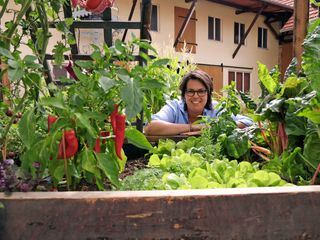 Mein leckerer Garten
