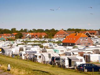 Verrueckt nach Camping