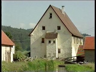 Die Schwestern der Walz-Muehle