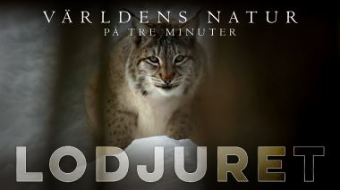 Vaerldens natur: På tre minuter