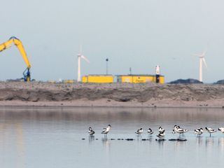 Niederlande: Neue Naturinseln im Markermeer