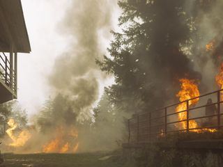 Phoenix - Change or Die