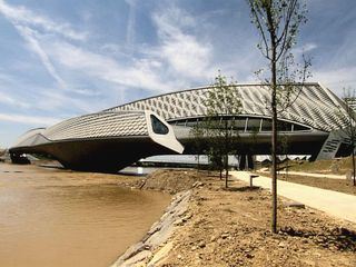 Loewin unter Loewen Loewin unter Loewen