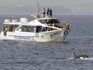 Achtung Orcas!