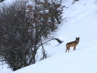 Kantabrien - Spaniens Zauberberge