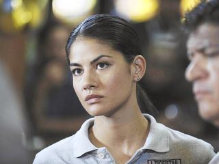 The Glades