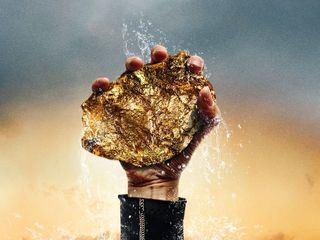 Goldtaucher der Beringsee