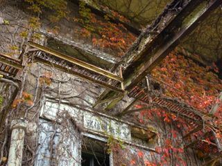 Abandoned Engineering