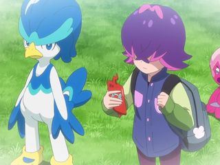 Pokémon Horizonte: Die Serie