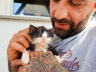 Harte Hunde - Die Urlaubsvertretung