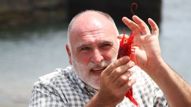 Spaniens Kueche mit José Andrés