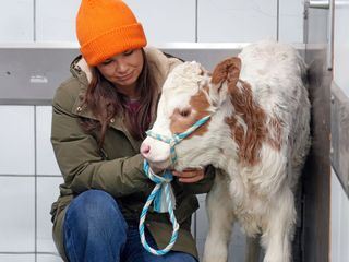 Anna und die Haustiere