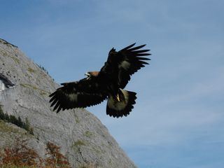 Sky - ueber den Gipfeln des Karwendel