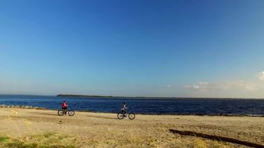 Island Life - Traumhaus gesucht