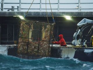 Fang des Lebens - Der gefaehrlichste Job Alaskas