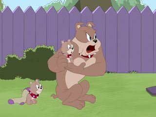 Die Tom und Jerry Show Die Tom und Jerry Show