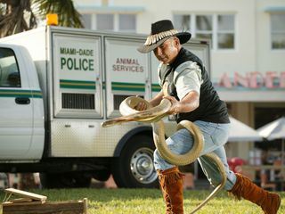 Tierpolizei Miami