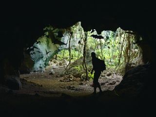 Extreme Survival mit Hazen Audel: Safari durch das Rift Valley