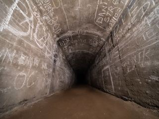 Geheime Welten - Reise in die Tiefe