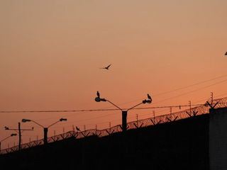 4 Tage in Boliviens Mega-Knast