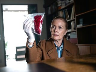 Die Fuechsin: Der Spion